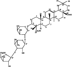 Image result for Lecaniodiscus