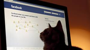 Si companiile facebook conform politicii de confidentialitate pro tv, respectiv a politicii de utilizare a datelor. De Ce BlocheazÄƒ Facebook Conturi In Romania È™i Ce Se IntamplÄƒ Cand EÈ™ti Blocat