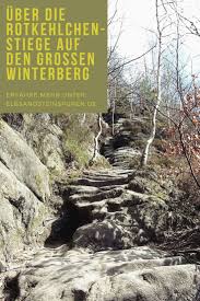Uber Die Rotkehlchenstiege Auf Den Grossen Winterberg Sachsische Schweiz Winterberg Sachsisch