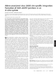 Image result for White 1999 AAV