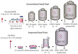 All media, supplement and reagents must be sterile to prevent microbial growth in the cell culture. A Novel Seed Train Process Using High Density Cell Bankingbioprocess International