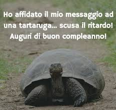 Frasi Di Auguri Di Compleanno In Ritardo Auguri Di Compleanno In Ritardo Auguri Di Buon Compleanno Buon Compleanno