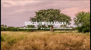 We have reviews of the best places to see in paraguay. Discover Paraguay You Didn T Know This About Paraguay Youtube