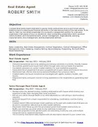 Adept at matching up property with client needs, establishing a smooth acquisition process and working with customers to complete special projects. Real Estate Agent Resume Template New Summary Consultant Sample Job Hudsonradc