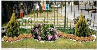 Pokok siantan antara yang tercantik untuk dijadikan pagar rumah. Kelebihan Pokok Renek Hiasan Berkebun Hidup