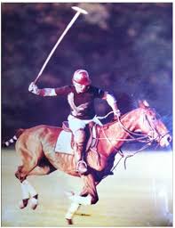 Friday Flicks Sylvester Stallone Equestrian Horse Nation Horses Polo Horse Equestrian