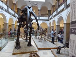 Palaontologisches Museum Reisen Mit Kindern Ausflug Museen In Munchen