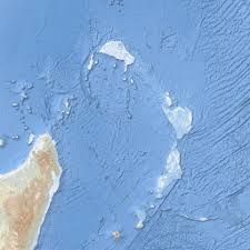 Image result for Calostephane