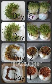 100 summer craft ideas for kids 20 outdoor games for your backyard party 60 summer outdoor activities for kids. 15 Spring Activities For Kids The Imagination Tree