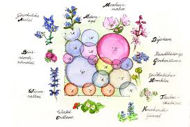 Denn schön bepflanzte beete sind das salz in der suppe und verleihen jedem außenbereich eine ganz wir zeigen euch, wie ihr blumenbeete anlegen und sie ganz nach eurem persönlichen geschmack individuell gestalten könnt. Nabu Tipp Wildstaudenbeet