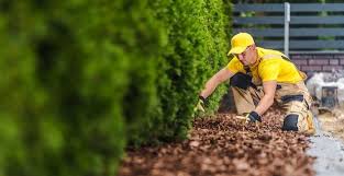 Mulching and trimming services