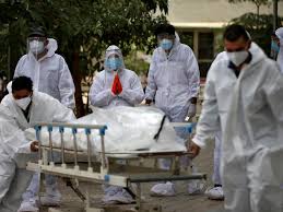 Los hongos que causan la infección son organismos ambientales comunes, generalmente se encuentran en la tierra, las plantas, el abono y frutas y verduras en descomposición. Primer Muerto Por Hongo Negro En Argentina Cepa Noticias