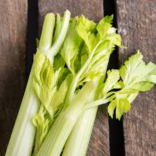 Celery is quite safe for cats, but it is recommendable that cats eat this vegetable occasionally. Can Dogs Eat Celery