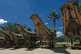 Rangkuman mengani suku toraja lengkap dengan sejarah, rumah adat, upacara adat, adat dalam 2 filosofis hidup masyarakat toraja. Paling Inspiratif Gambar Sketsa Rumah Adat Tongkonan Tea And Lead