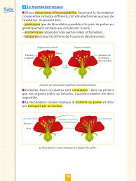Vous serez interrogé (e) sur l'une de ces deux questions le jour de l'épreuve. Objectif Bac Fiches Tout En Un Tle Specialites Physique Chimie Et Svt Philo Grand Oral Hachette Education Famille Eleves Etudiants