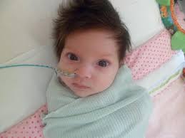 Evie's Shooting Star Appeal by Danii Arnold