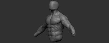 Male Torso Back Anatomy Critique Please Polycount