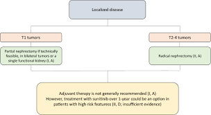 Loss of appetite or weight loss. Seom Clinical Guideline For Treatment Of Kidney Cancer 2019 Springerlink