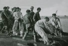 Закарпатська поліція затримала 34-річного жителя Рахова, якого підозрюють у смертельному наїзді на прикордонника - Цензор.НЕТ 7230