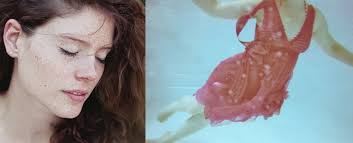 Diptycha für alle. Die Ergebnisse