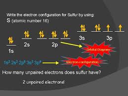 We did not find results for: Electron Configuration Paulis Exclusion Principle Pauli Exclusion Principle