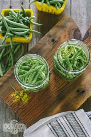 Pickled Green Beans Recipe Lacto Fermented The Prairie Homestead Recipe Pickled Green Beans Green Bean Recipes Bean Recipes