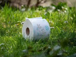 Unumstritten wird das diesjährige osterfest anders ablaufen. Ostern In Corona Zeiten Ei Ei Ei Die Familie Bleibt Weg Bruddelbote Schwarzwalder Bote