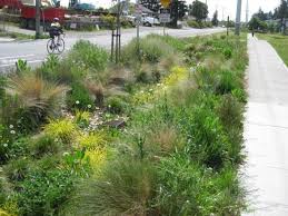 Pin Van Joann Keeler Op Landscape Design Landschapsarchitectuur Tuinarchitectuur Groene Straat
