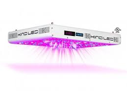 2.1 phlizon newest 600w led plant grow light. Phytomax 2 1000 Led Grow Lights Ledgrowshop