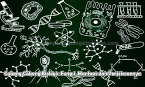 Cabang Cabang Biologi Fungsi Manfaat Dan Penjelasan