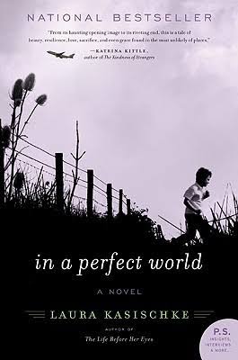 In a Perfect World by Laura Kasischke | Goodreads