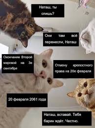 Вы понимаете, зачем нужны мемы? Natash My Tam Vse Uronili Glavnyj Mem Poslednego Vremeni Kotorym Mozhno Vyrazit Vse