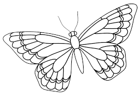 Butterfly Template Butterfly Zentangle Template Zentangle Pinterest Animal Stencil Butterfly Coloring Page Butterfly Drawing