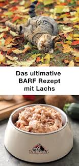 Kostlich Und Gesund Barf Rezept Mit Lachs Katzengamander Und Taurin Lachs Rezept Barf Rezepte Hundefutter Selber Kochen
