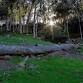 BWA SAN DIEGO: HOSP GROVE TRAIL WALK event image