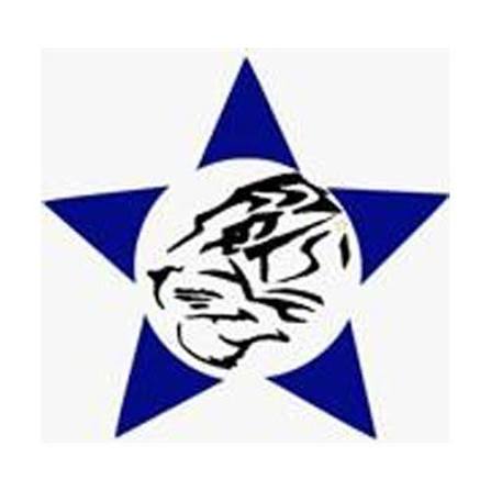 Logo PT Tiger Star Indonesia