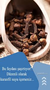 Karanfilin Faydalari Nelerdir Hangi Hastaliklara Iyi Gelir Duzenli Karanfil Suyu Icerseniz 2020 Agiz Kokusu Yemek Saglik