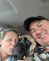 Mastiff puppies for adoption and rehoming