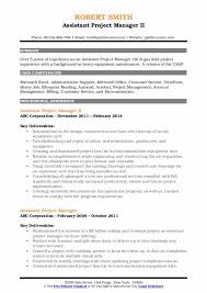 assistant project manager resume