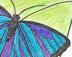 Chrysalis blue morpho design uth13562 from urbanthreads com blue morpho embroidery designs blue morpho butterfly. Blue Morpho Butterfly Rainforest Alliance