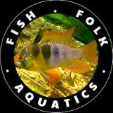 Jordanella floridae florida flagfish american flag fish pro jordanella floridae care maintenance. Jordanella Floridae Florida Flagfish General Discussion C A R E