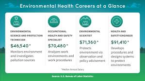Environmental health is a key part of any comprehensive public health system. 8 Environmental Factors That Affect Health Regis College Online