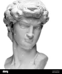 David statue Black and White Stock Photos & Images