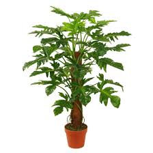 Philodendron plants are tropical flowering plants in the family araceae. China Polyester Artificial Plants Of 100cm Philodendron Pole With 7 Plastic Pot 32 Lvs China Artificial Plants And Artificial Trees Price