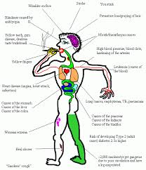 Pin On Health