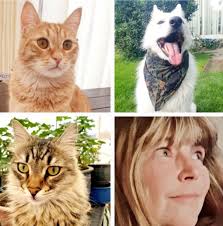 They can hear Tupperware open across the yard .