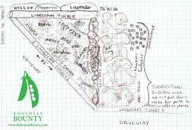 English Herb Garden Herb Garden Design Back Garden Design Herb Garden