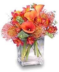 Maybe you would like to learn more about one of these? About Us Way S House Of Flowers Albany Ga