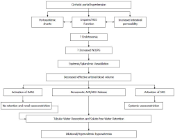 hyponatremia in cirrhosis pathophysiology and management