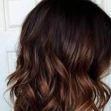 Featuring a thin, polyurethane weft that flawlessly blends with your own hair. Hazelnut Brown Henna Hair Color By Babu Ram Dharam Prakash Made In India